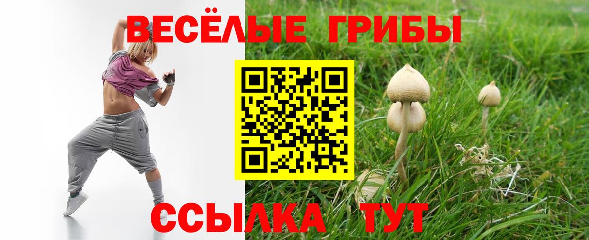 Галлюциногенные грибы Psilocybe Красный Сулин