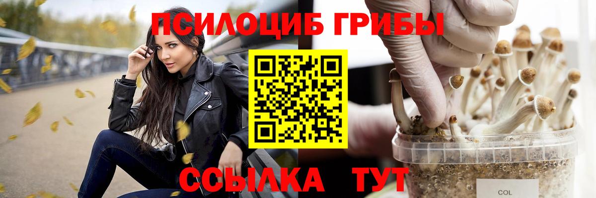 Псилоцибиновые грибы прущие грибы  Вход с VPN  Галлюциногенные грибы Magic Shrooms  купить   Красный Сулин 